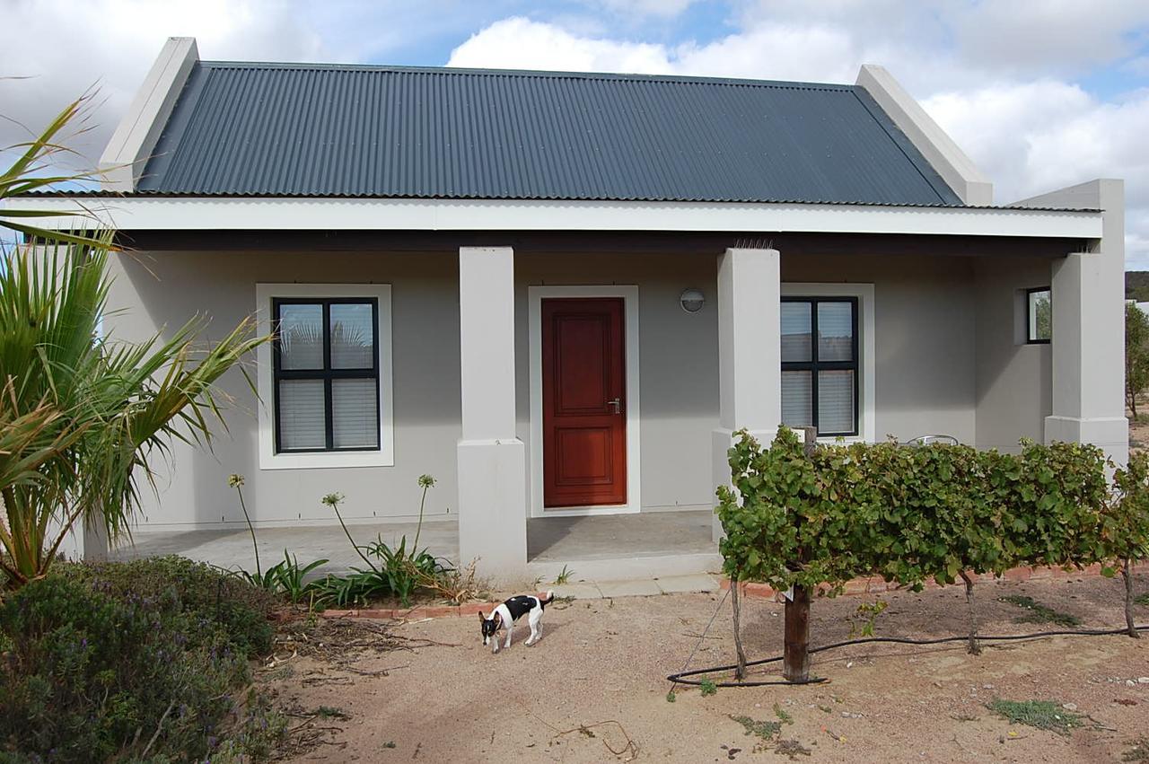 Longacre Olive & Vineyard Estate Guest House Langebaan Exterior photo